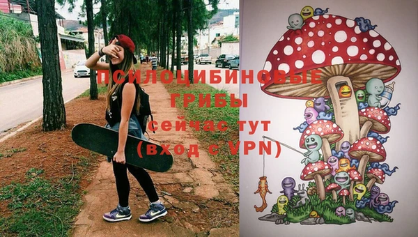 ешки Саяногорск