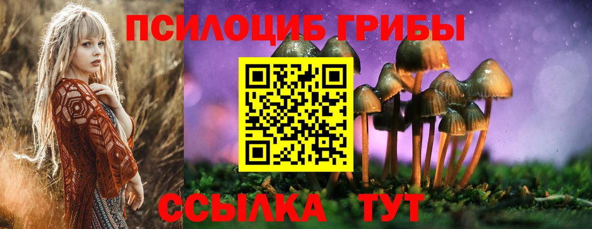 Кинешма  Галлюциногенные грибы MAGIC MUSHROOMS  Вход с VPN 